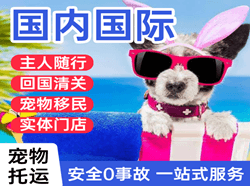 阿克苏红旗坡机场空运国际宠物托运 【国